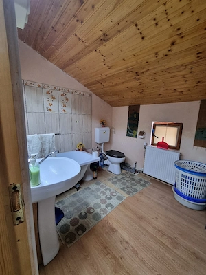 Casa familiala, constructie mai noua, Buziaș - imagine 9