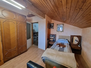 Casa familiala, constructie mai noua, Buziaș - imagine 7