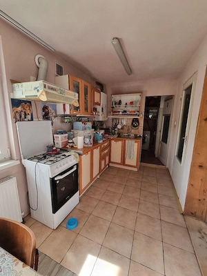 Casa familiala, constructie mai noua, Buziaș - imagine 6