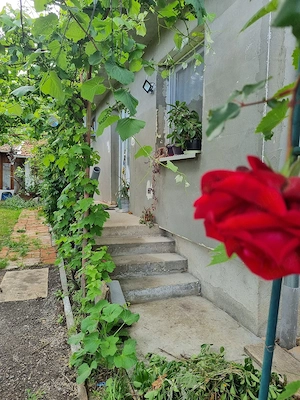 Casa familiala, constructie mai noua, Buziaș - imagine 2