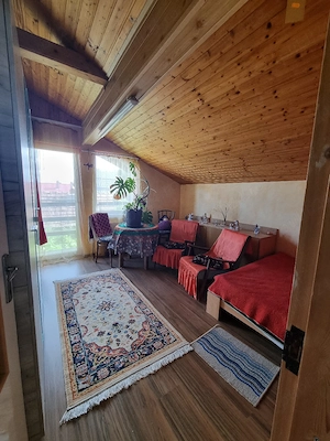 Casa familiala, constructie mai noua, Buziaș - imagine 8