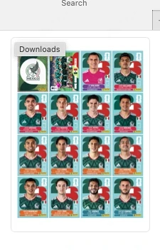 Carduri   Stickere PANINI FIFA cupa mondiala 2026 PDF abtipilduri