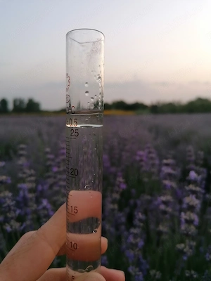 Serviciu de distilare lavandă și plante aromatice în Arad și Timiș