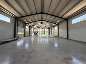 Hala + Birouri 600 mp Echipată | Jucu Industrial | Acces TIR | 3.800€ - imagine 4
