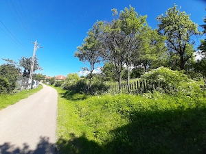830mp sau 420mp in Ținutul Padurenilor jud Hunedoara - imagine 2