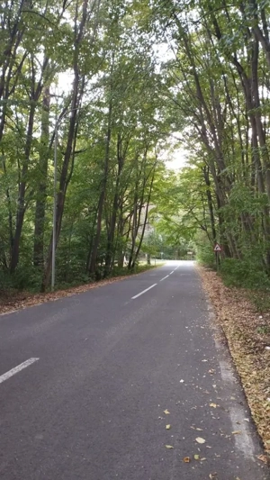 SUPER OCAZIE TEREN 4000MP DE VANZARE IN SNAGOV CU DESCHIDERE LA LACUL SNAGOV,NEGOCIABIL. - imagine 2