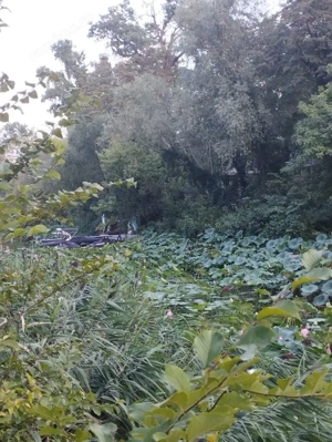 SUPER OCAZIE TEREN 4000MP DE VANZARE IN SNAGOV CU DESCHIDERE LA LACUL SNAGOV,NEGOCIABIL. - imagine 13