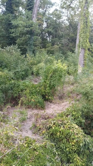 SUPER OCAZIE TEREN 4000MP DE VANZARE IN SNAGOV CU DESCHIDERE LA LACUL SNAGOV,NEGOCIABIL. - imagine 9