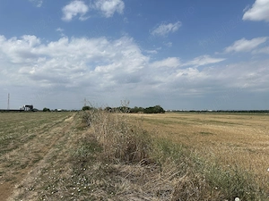 Agentia imobiliara VIGAFON vinde teren intravilan Parc Municipal Vest - imagine 3