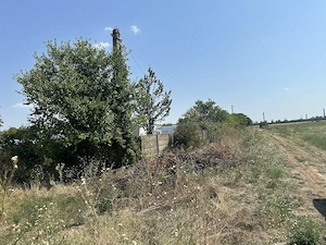 Agentia imobiliara VIGAFON vinde teren intravilan Parc Municipal Vest - imagine 2