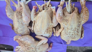 Pui de carne crescuti bio