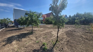 AV695 Duplex 2 unitati, Dumbravita, P+1E - imagine 15