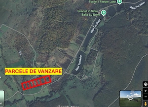 Vand 9 parcele de teren extravilan in Tocile, jud. Sibiu - imagine 3