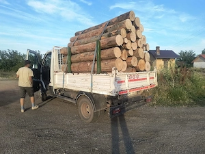 lemne de foc 