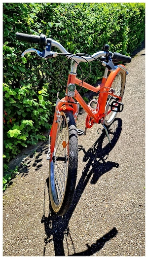 Bicicleta de vanzare