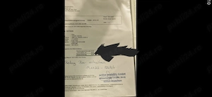 Octavia 3  2016 motor 2,0D 150cp  4x4 la Achiziție se face Verificare GENERALĂ și se INLOCUIESTE TOT - imagine 10
