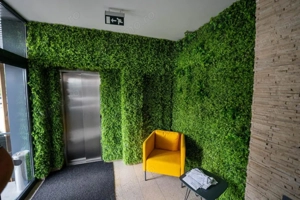 Cladire birouri si spatiu comercial , 830 mp constr, 15 locuri parcare, Chiajna - imagine 14