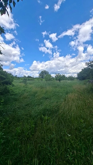 Teren intravilan 5.500 mp   Cârlomănești, comuna Vernești, județul Buzău - 22  mp  negociabil - imagine 3