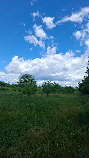 Teren intravilan 5.500 mp   Cârlomănești, comuna Vernești, județul Buzău - 22  mp  negociabil - imagine 9