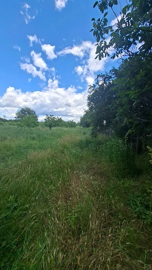 Teren intravilan 5.500 mp   Cârlomănești, comuna Vernești, județul Buzău - 22  mp  negociabil - imagine 10
