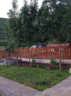 Vând fermă cu un lot de măgărițe  - imagine 3