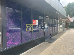 Spatiu comercial 130 mp, de inchiriat, strada Pictor Th. Aman , Bacau - imagine 13