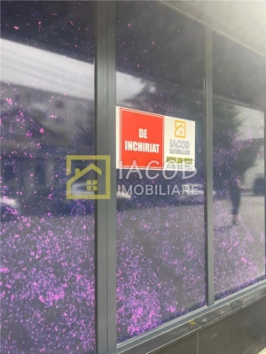 Spatiu comercial 130 mp, de inchiriat, strada Pictor Th. Aman , Bacau - imagine 12