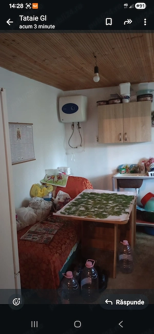 Casa locuibila cu apa, gaze, fosa septica,soba,  vie, pomi fructiferi si 1,8 hectare de teren intrav - imagine 2