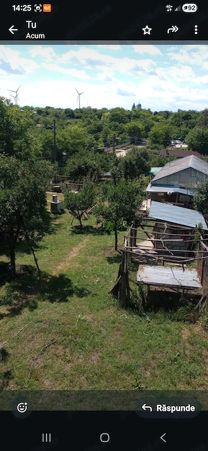 Casa locuibila cu apa, gaze, fosa septica,soba,  vie, pomi fructiferi si 1,8 hectare de teren intrav - imagine 3