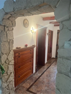Casa singur in curte - imagine 10