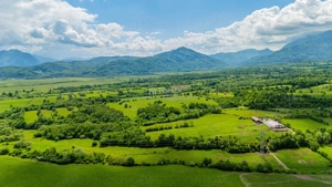 Teren de investiție în zona Tohanul Nou - Bran  5.800 mp - imagine 7