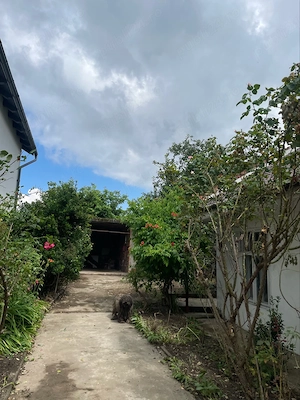 Vand casa si gradina , str. Fagetului nr. 31 - imagine 26