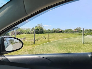 Teren arabil zona Giurgiu Stănești 
