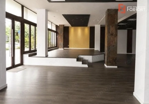 Spatiu comercial cu 4 incaperi de inchiriat in Timisoara, zona Balcescu - imagine 2