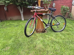vanzare bicicletă