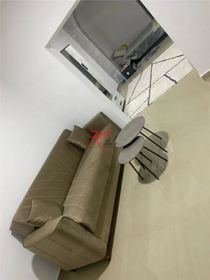 Vanzare apartament 2 camere in vila Gara de Nord - imagine 6