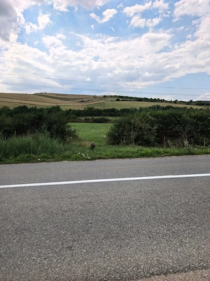 Vând teren în Moriști 