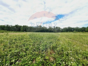 Teren 5,755mp Hidiselu de Sus / DN PRINCIPALA - imagine 2