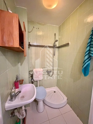 Garsoniera de inchiriat, petfriendly, zona Garii, Timisoara - imagine 6