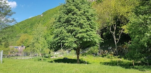 Teren Râul Mare - Retezat