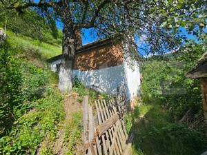 Casă tradițională, investiție potențial de dezvoltare, 65 mp, Căpâlna, Săsciori - imagine 15