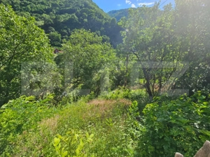 Casă tradițională, investiție potențial de dezvoltare, 65 mp, Căpâlna, Săsciori - imagine 18