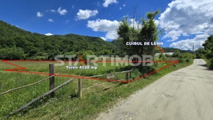 Teren extravilan Glajarie zona Cuibul de Lemn - imagine 2