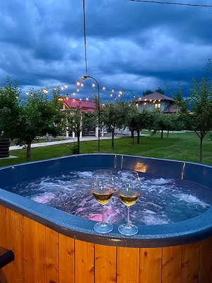Cabana cu piscina si ciubar de inchiriat in zona Turistica Valea - Avrigului  - imagine 5