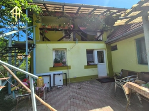 Casă P+1 de vânzare în Sinersig, jud. Timiș