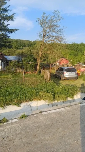 Casa cu teren 1 hectar în sat Roșcani, la 40 km de Iași. - imagine 7