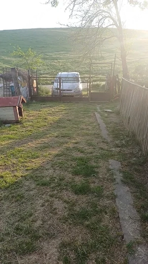 Casa cu teren 1 hectar în sat Roșcani, la 40 km de Iași. - imagine 8