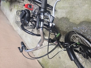 Tricicletă Electrică Pegas Senior Dinamic   Stare Excelentă, Motor Bafang