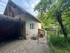 Casa Cocheta de vacanta, Com. Dognecea - imagine 5