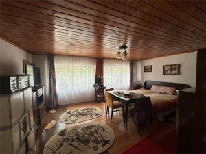 Casa Cocheta de vacanta, Com. Dognecea - imagine 15